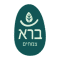 ברא